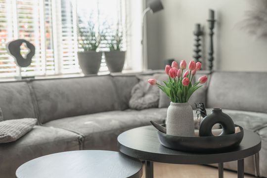 Duiker 106, Grootebroek foto-26