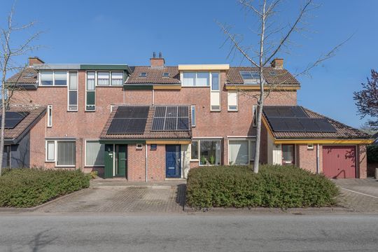 Rode Paard 4, Enkhuizen foto-0