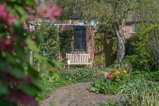 Rode Paard 4, Enkhuizen foto-2