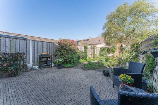 Rode Paard 4, Enkhuizen foto-1