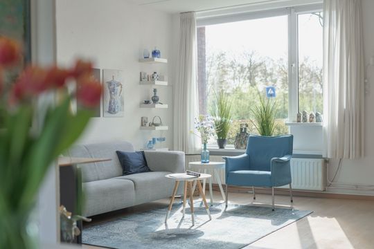 Rode Paard 4, Enkhuizen foto-3