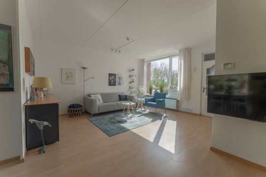 Rode Paard 4, Enkhuizen foto-4