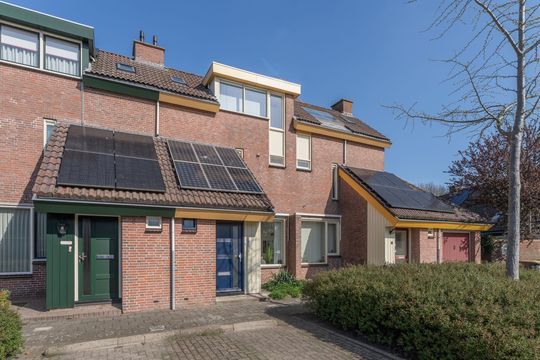 Rode Paard 4, Enkhuizen foto-8