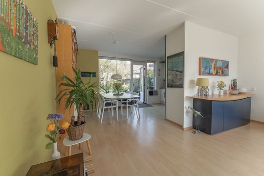 Rode Paard 4, Enkhuizen foto-13