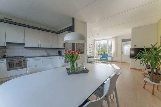 Rode Paard 4, Enkhuizen foto-15