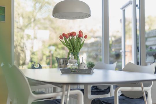 Rode Paard 4, Enkhuizen foto-17