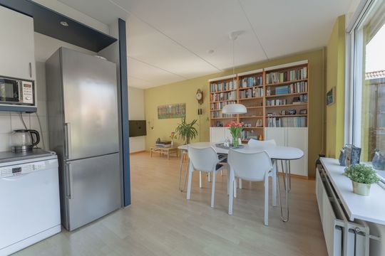 Rode Paard 4, Enkhuizen foto-18