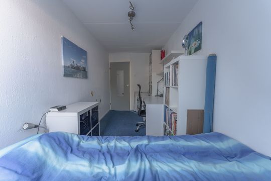 Rode Paard 4, Enkhuizen foto-23