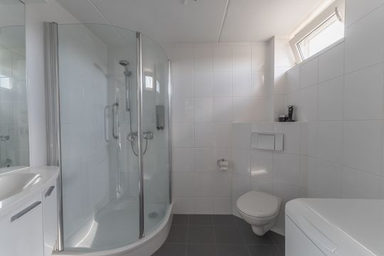 Rode Paard 4, Enkhuizen foto-24