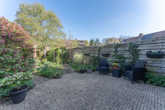 Rode Paard 4, Enkhuizen foto-39