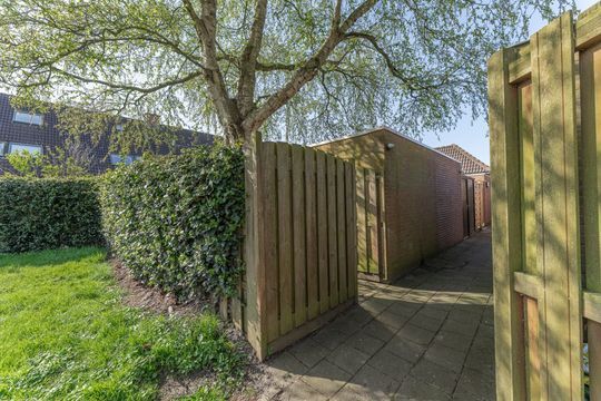 Rode Paard 4, Enkhuizen foto-43