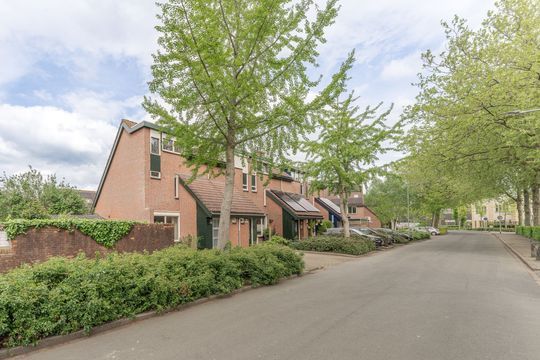 Rode Paard 32, Enkhuizen foto-41