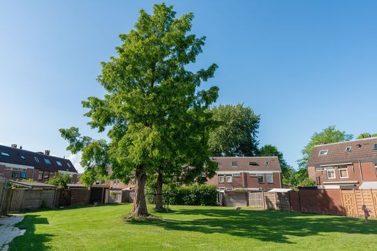 Frieseweid 10 a, Enkhuizen foto-27
