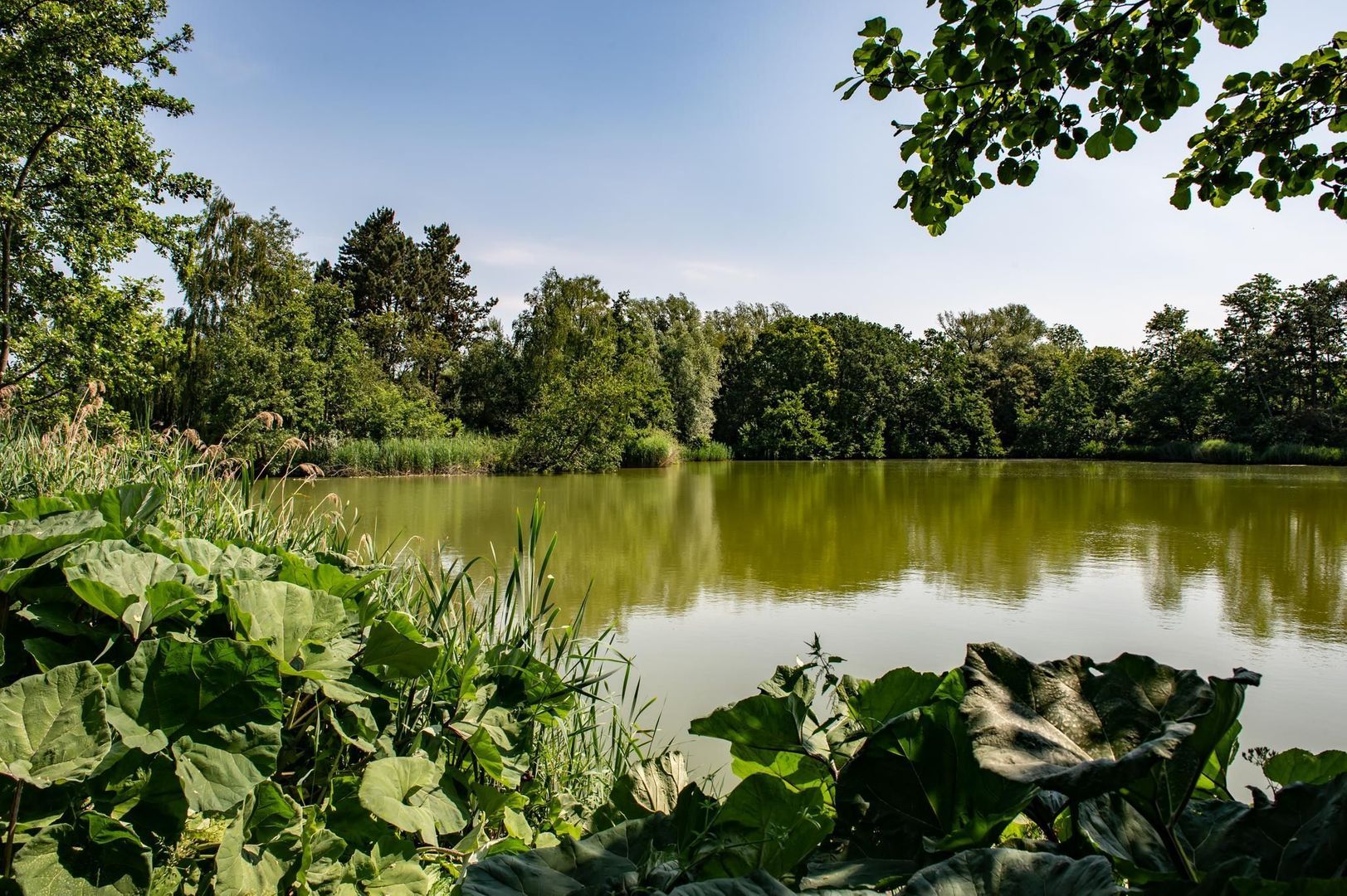, Roosendaal foto-10