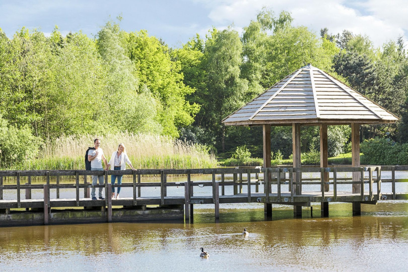 Peelheideweg 25 T 217, America foto-9