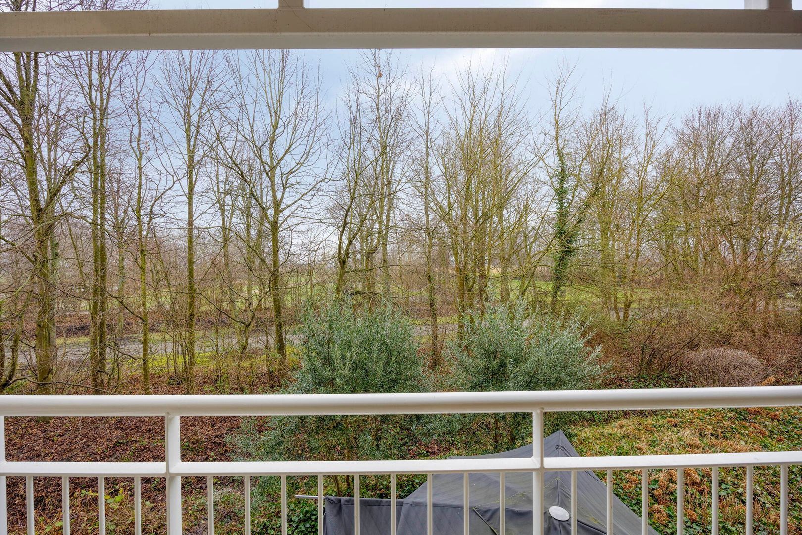 Hogeweg 55 131, Burgh-Haamstede foto-13