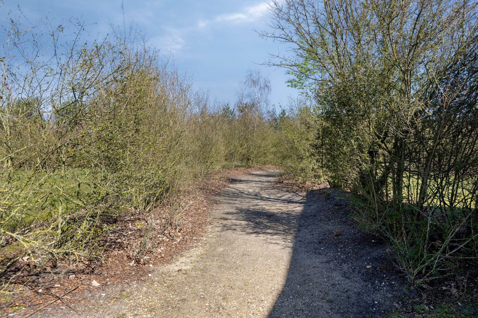 Klein Vink 4 2342, Arcen foto-25