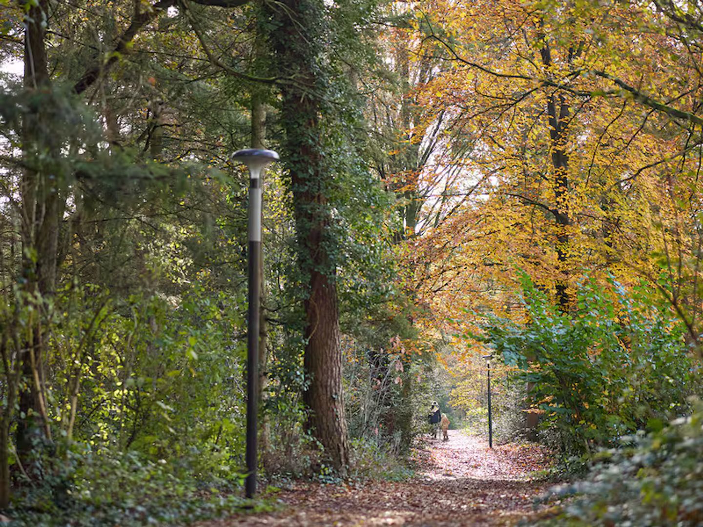 Center Parcs Kempense Meren 122, Mol foto-29