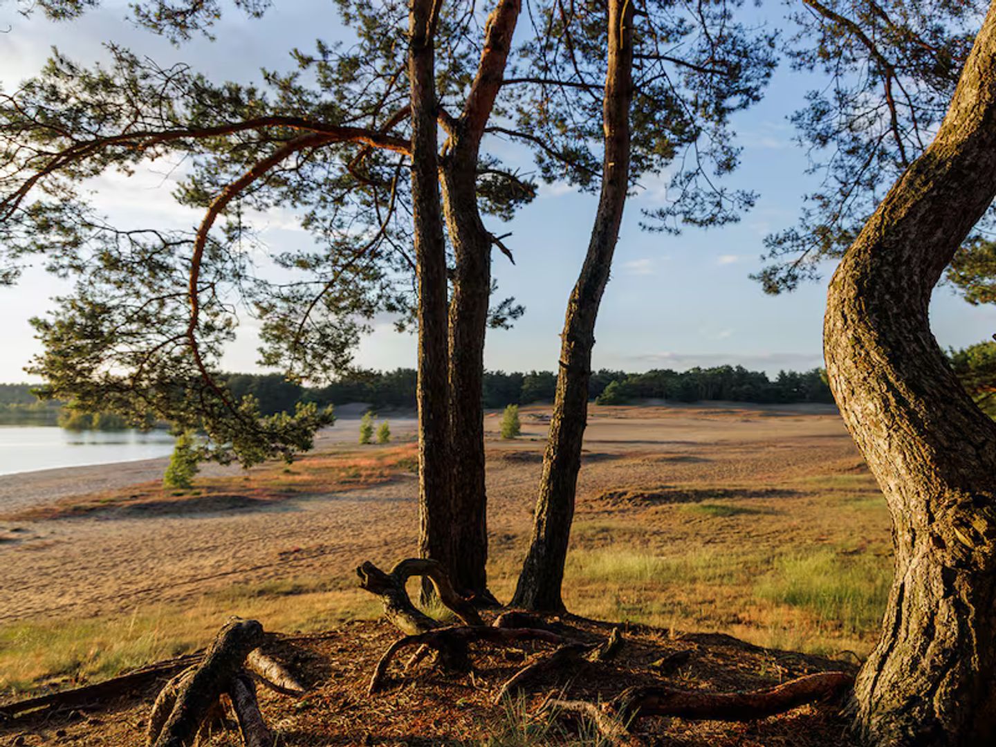Center Parcs Kempense Meren 122, Mol foto-31
