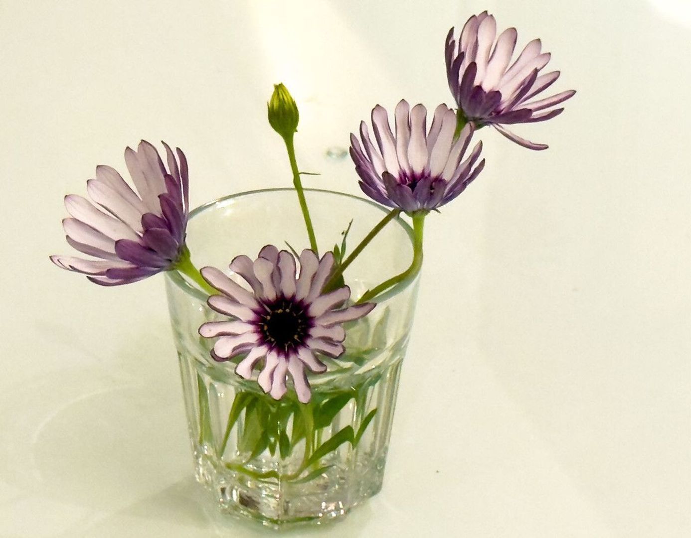 El Rosario, Vrijstaande woning EUR 3.500.000 foto-42