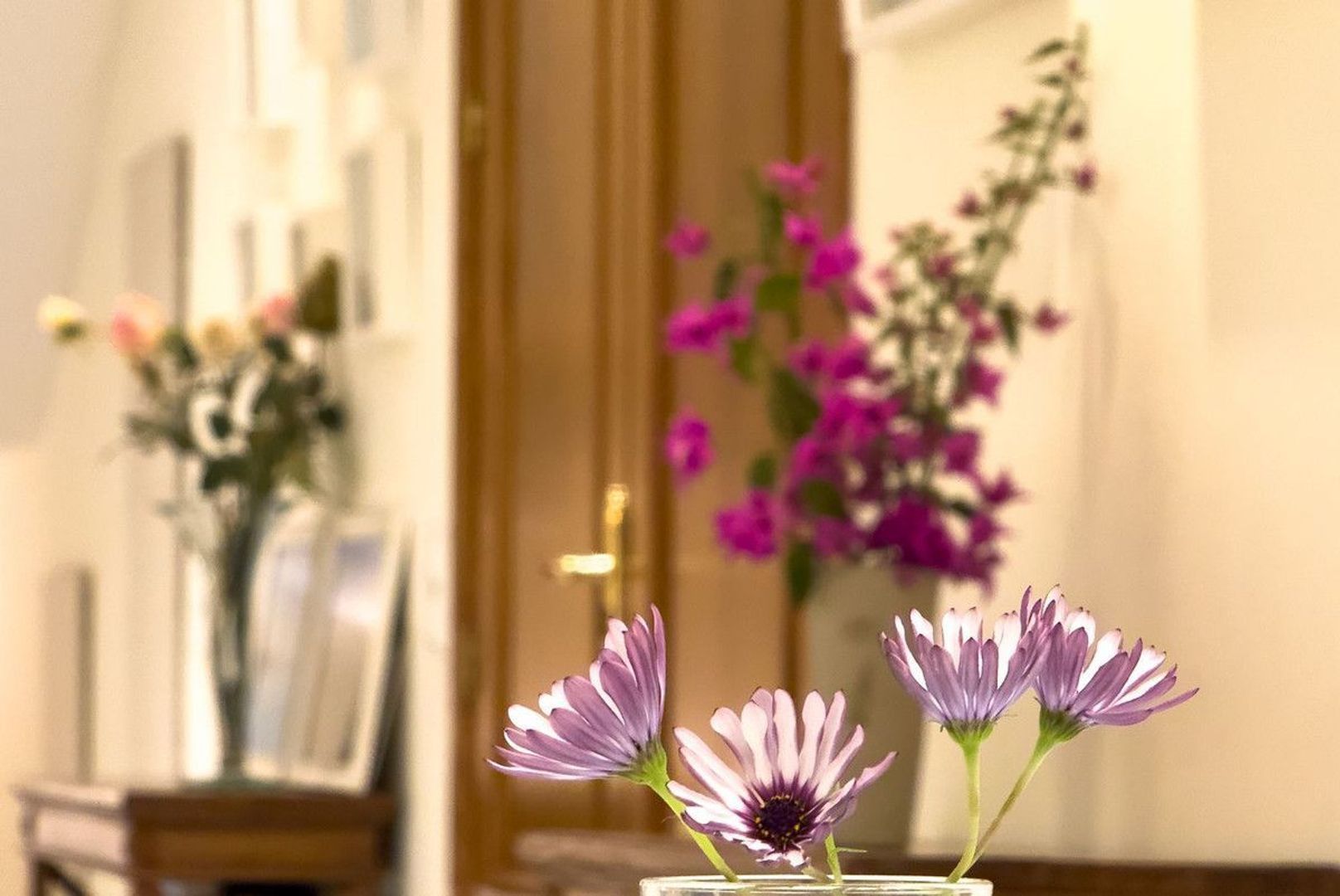 El Rosario, Vrijstaande woning EUR 3.500.000 foto-56