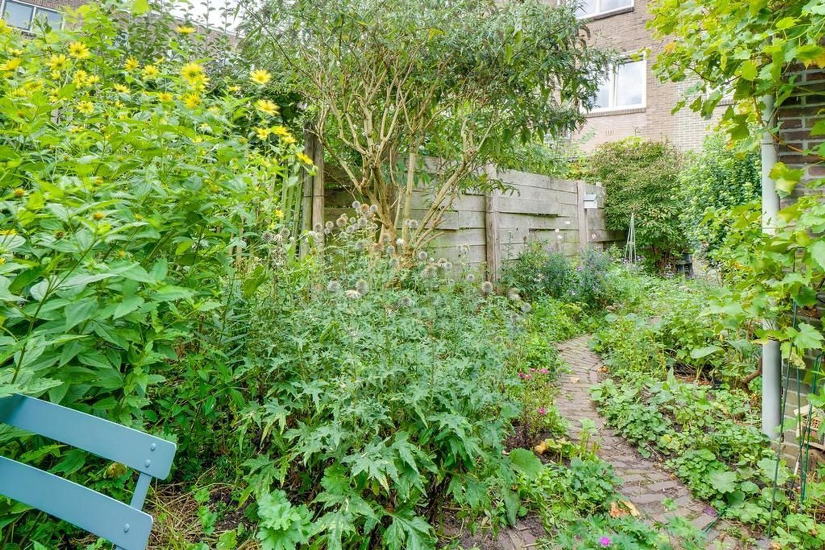 Balijelaan 38, Utrecht foto-32