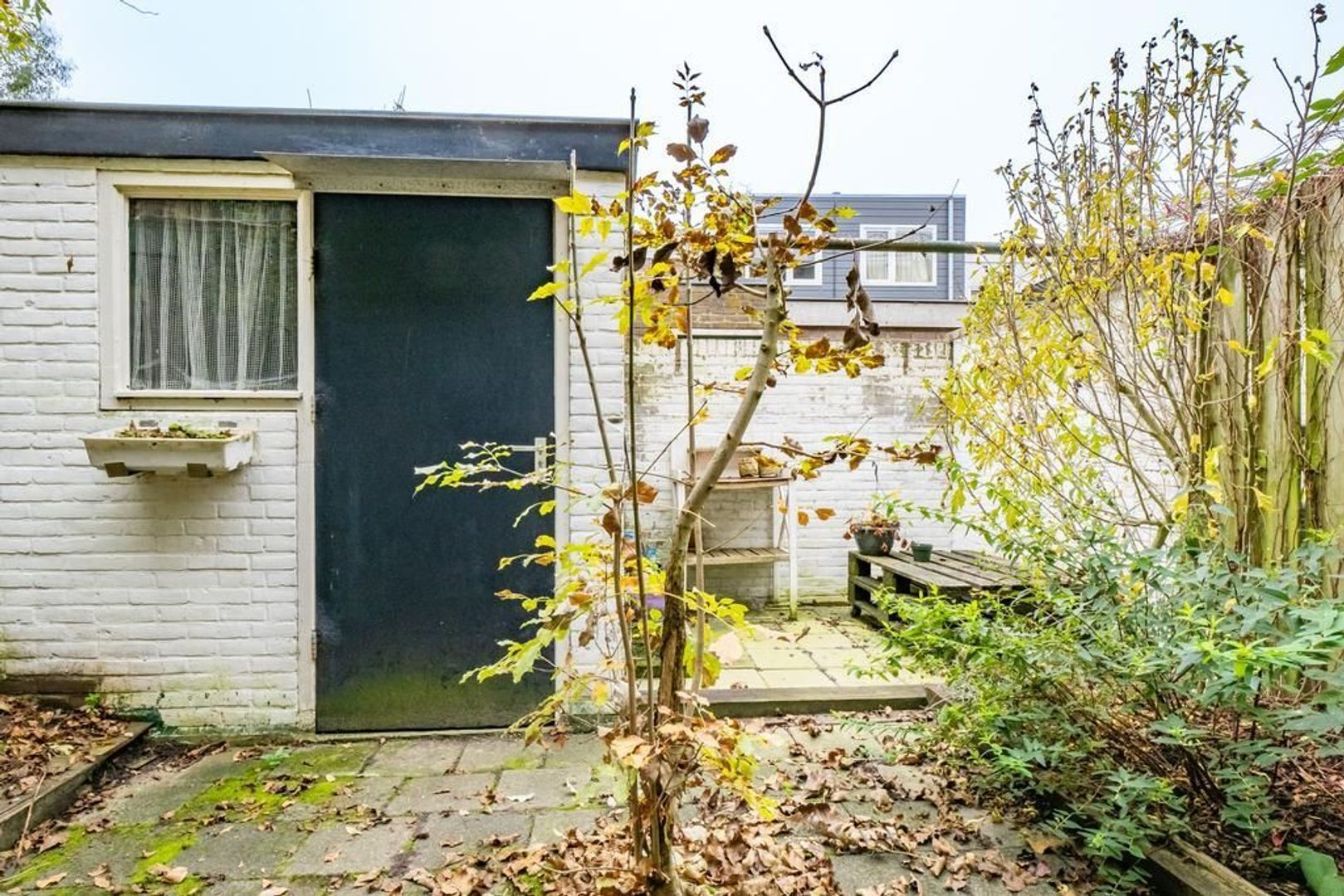 Spinozaweg 31, Utrecht foto-16