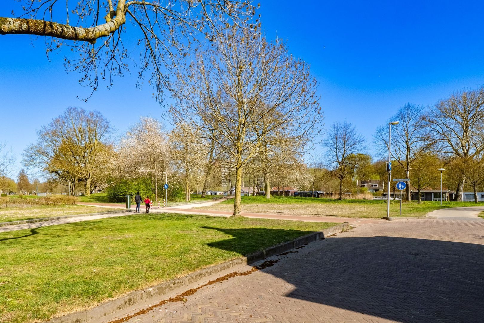 Rochus Meeuwiszstraat 33, Utrecht foto-31