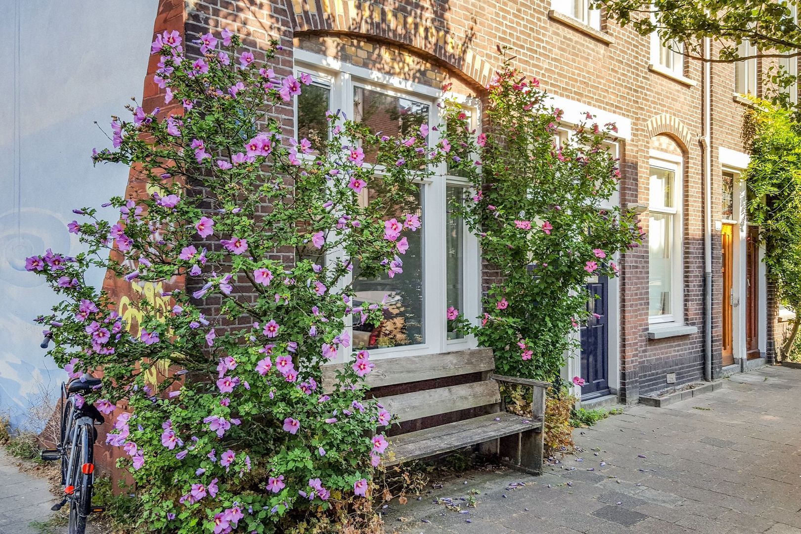 Douwes Dekkerstraat 18, Utrecht foto-1