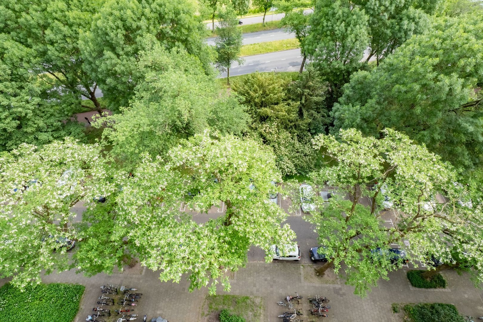 Pahud de Mortangesdreef 232, Utrecht foto-30
