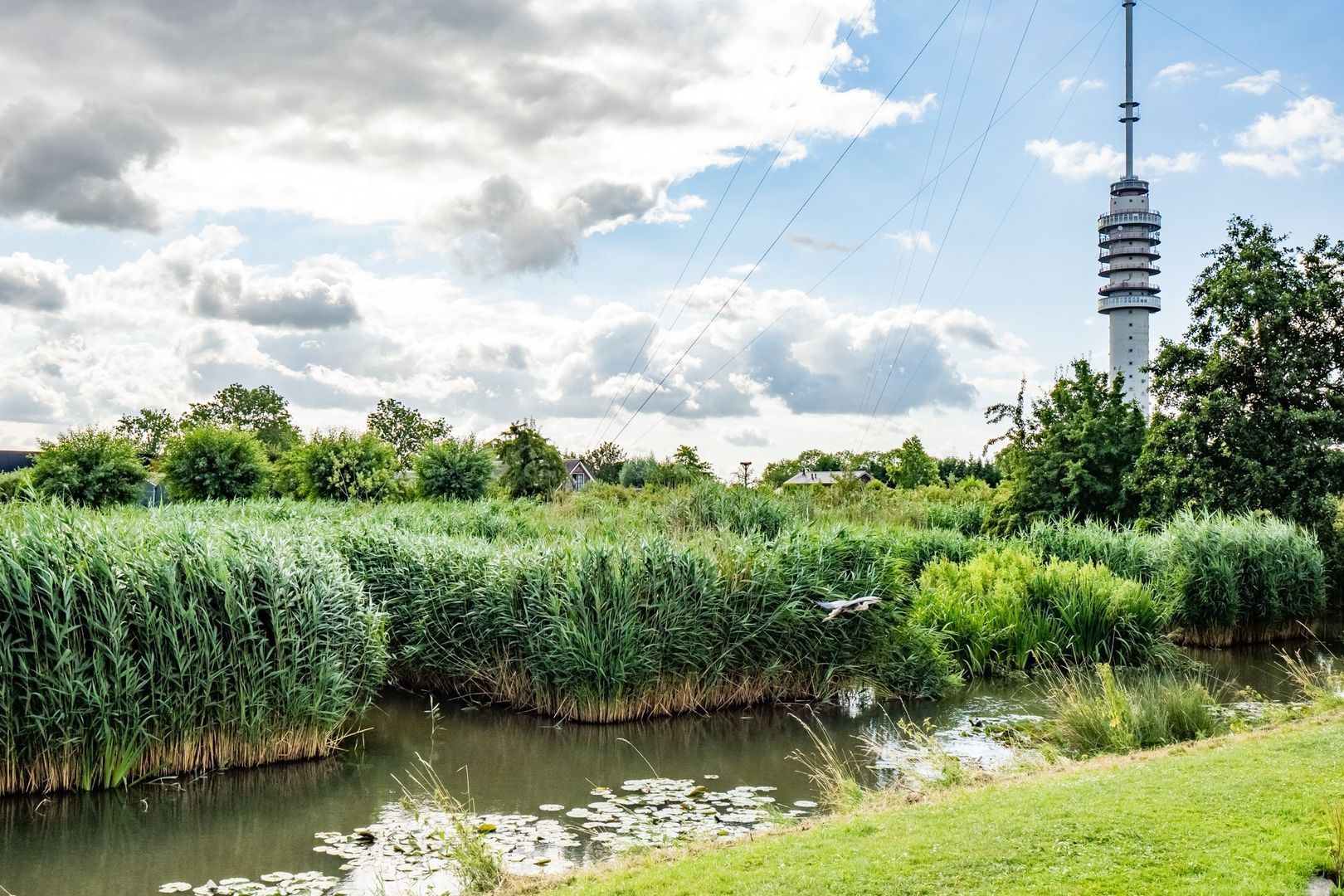 Jan Bijhouwerstraat 126, Ijsselstein foto-34