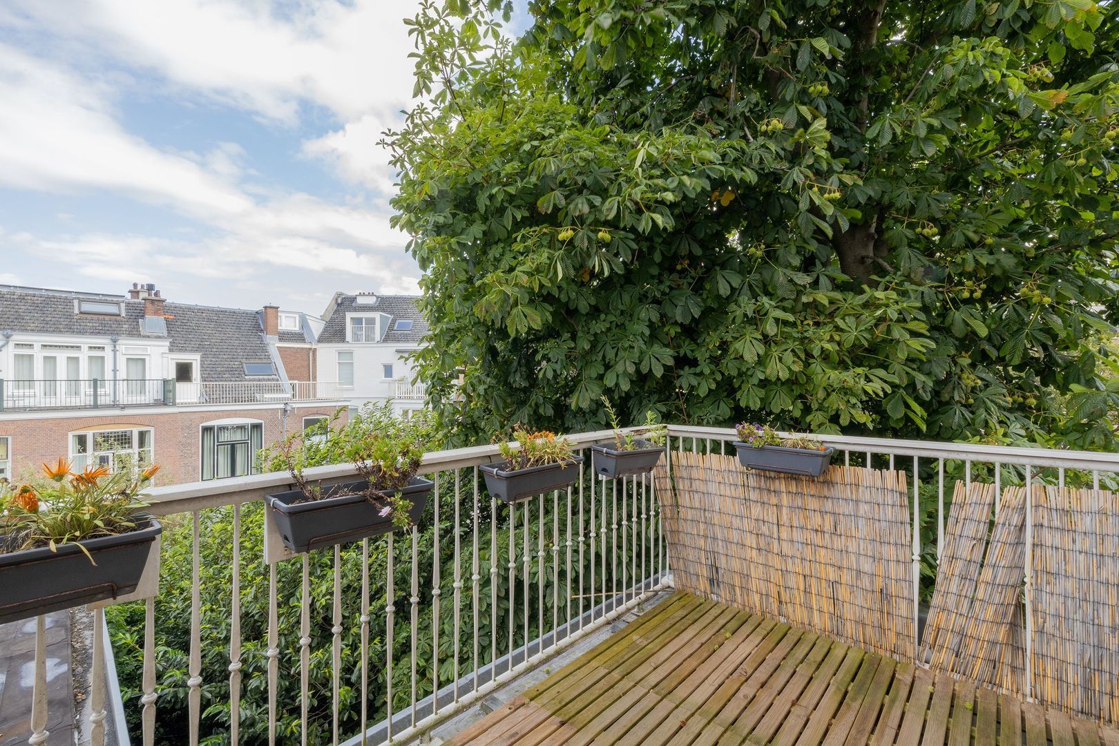 Obrechtstraat 13 A, Den Haag foto-15 blur