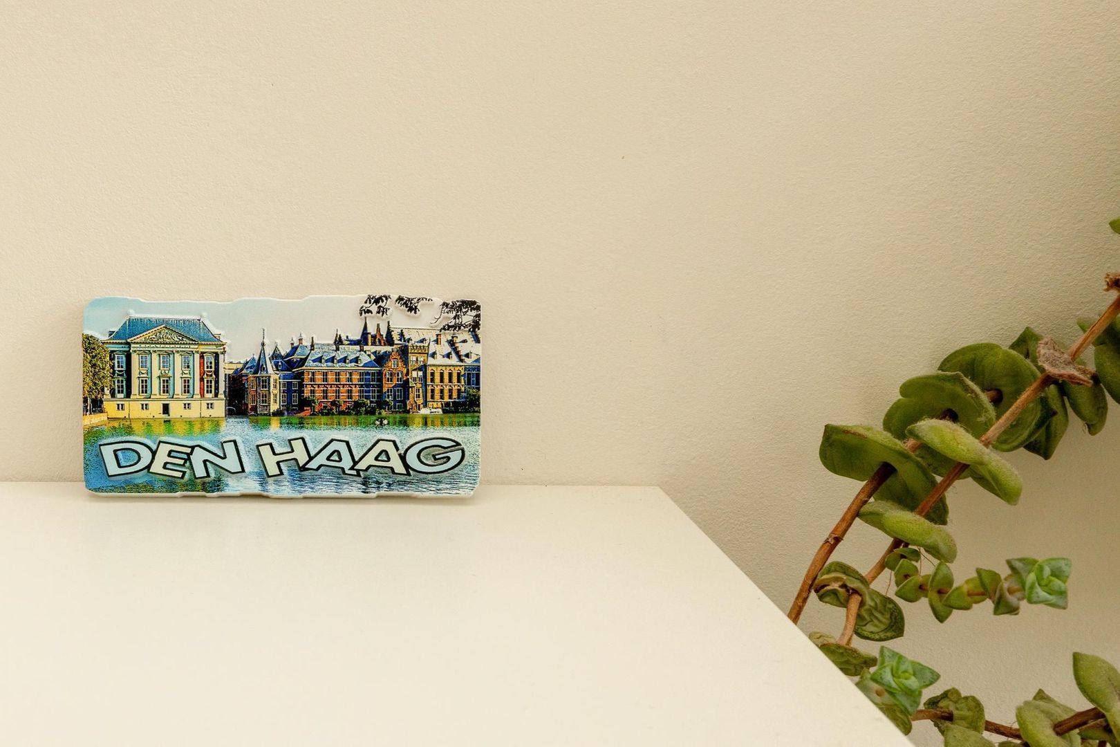 Indigostraat 32, Den Haag foto-23 blur