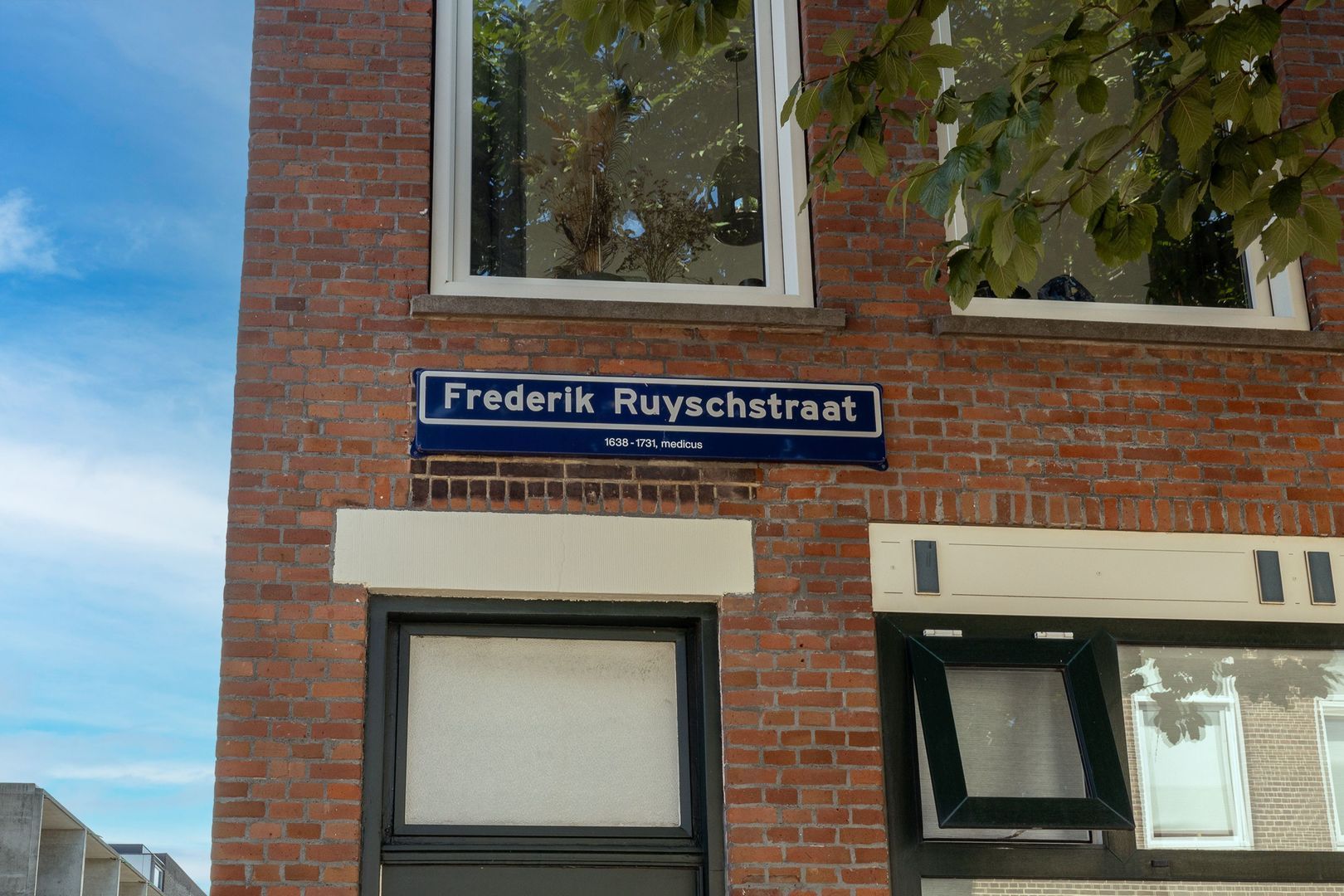 Frederik Ruyschstraat 24, Den Haag foto-37 blur