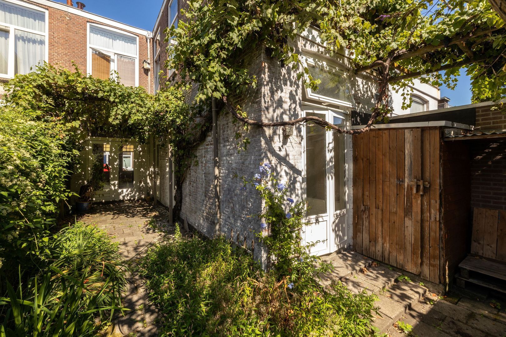 Frederik Ruyschstraat 24, Den Haag foto-30 blur