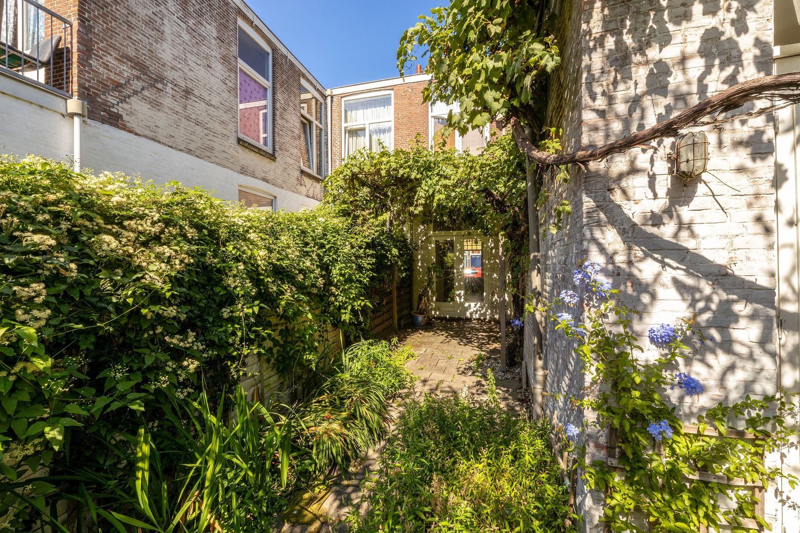 Frederik Ruyschstraat 24, Den Haag foto-32 blur