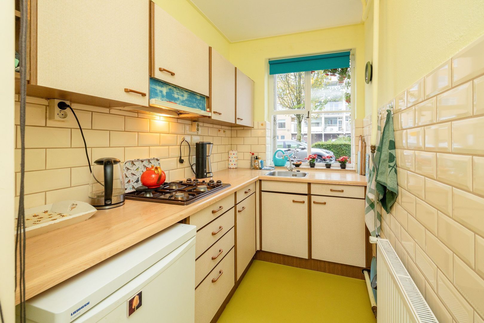 Hanenburglaan 46, Den Haag foto-23 blur