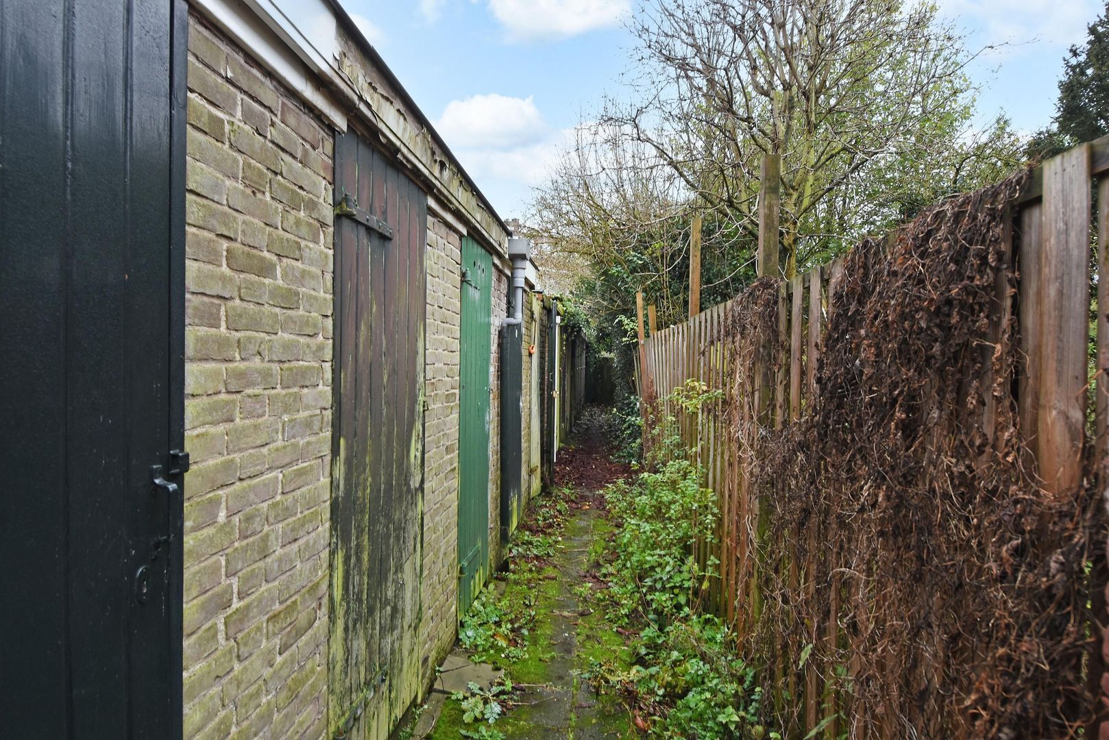 Wognumstraat 38, Den Haag foto-31 blur