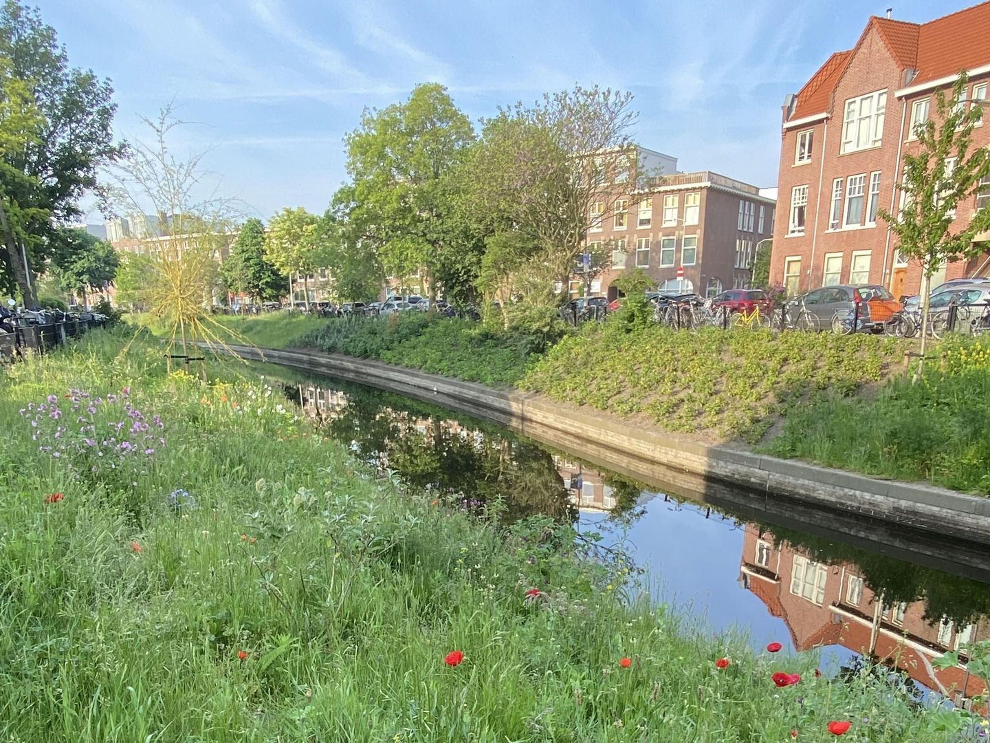 Valkenboskade 587, Den Haag foto-50 blur