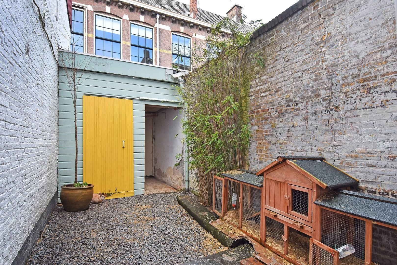 Assendelftstraat 35, Den Haag foto-14 blur