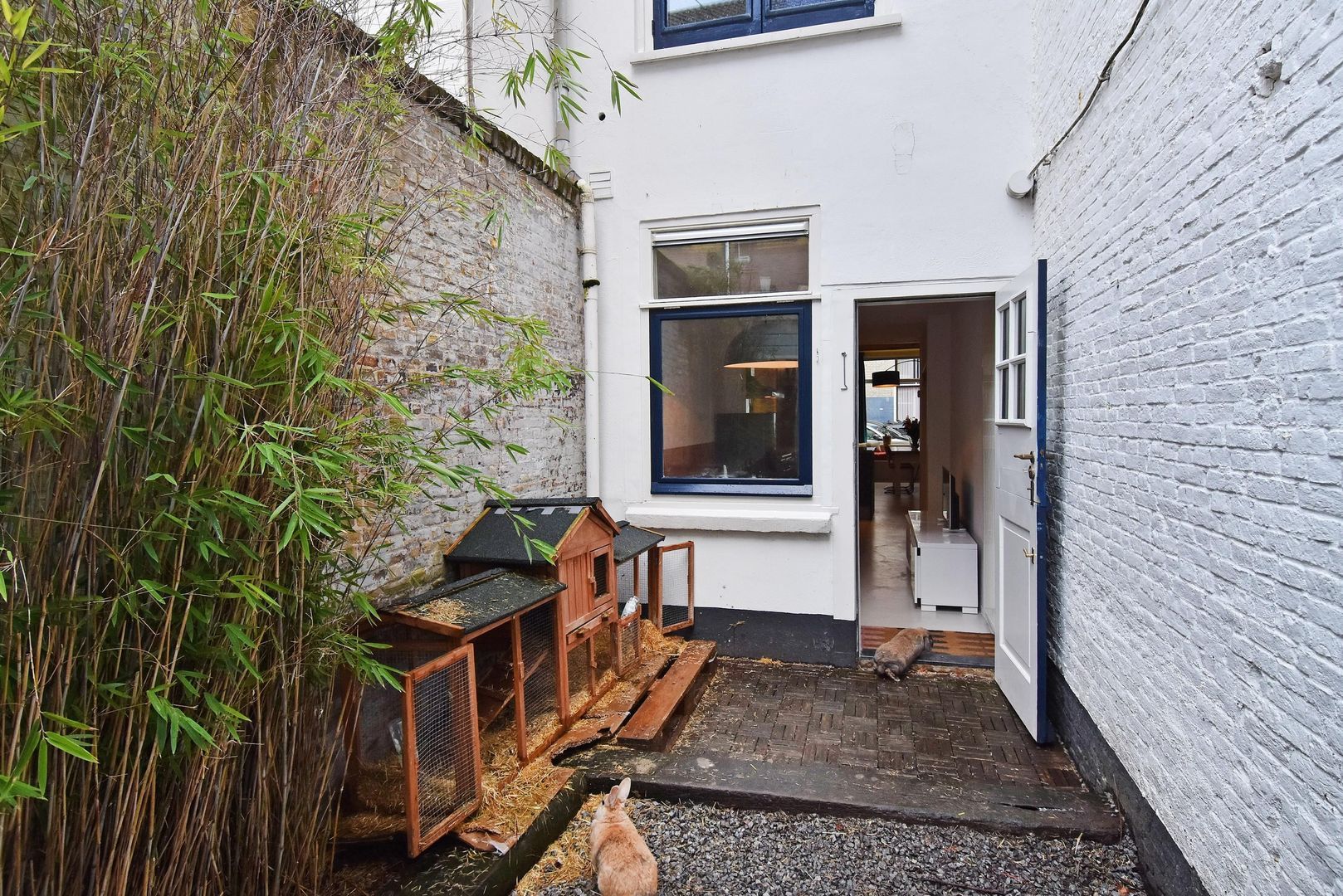 Assendelftstraat 35, Den Haag foto-15 blur