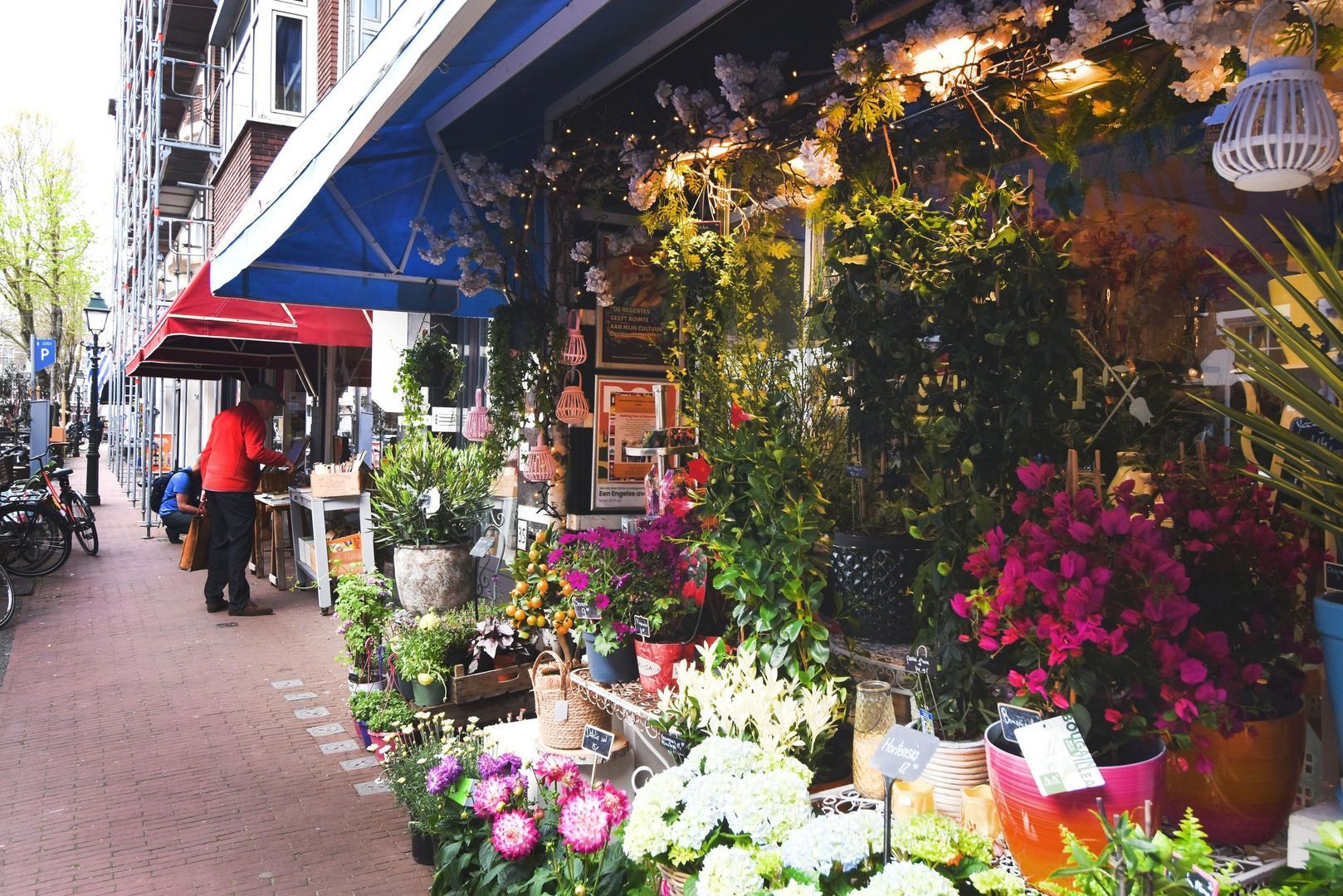 Obrechtstraat 424, Den Haag foto-43 blur