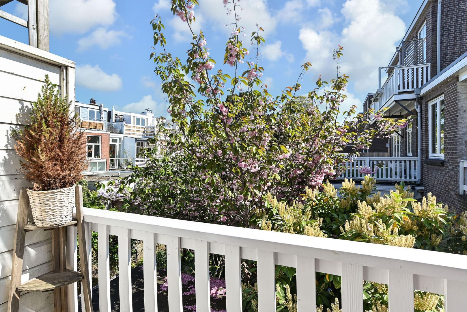 Copernicusstraat 310, Den Haag foto-17 blur