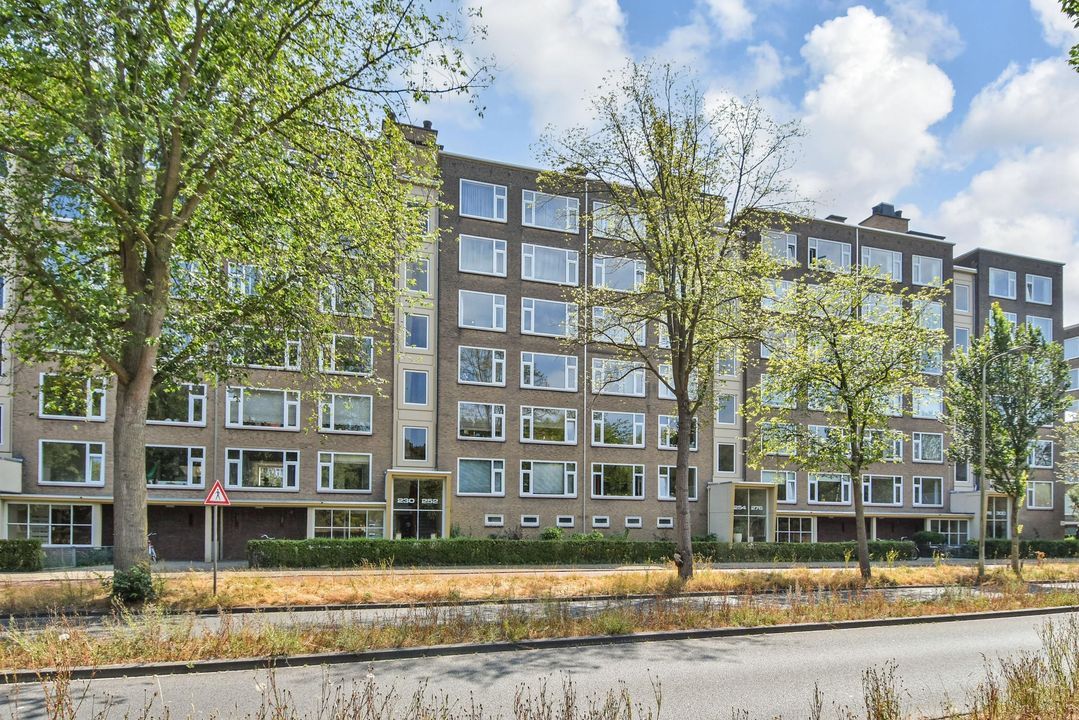 Segbroeklaan 248, Den Haag