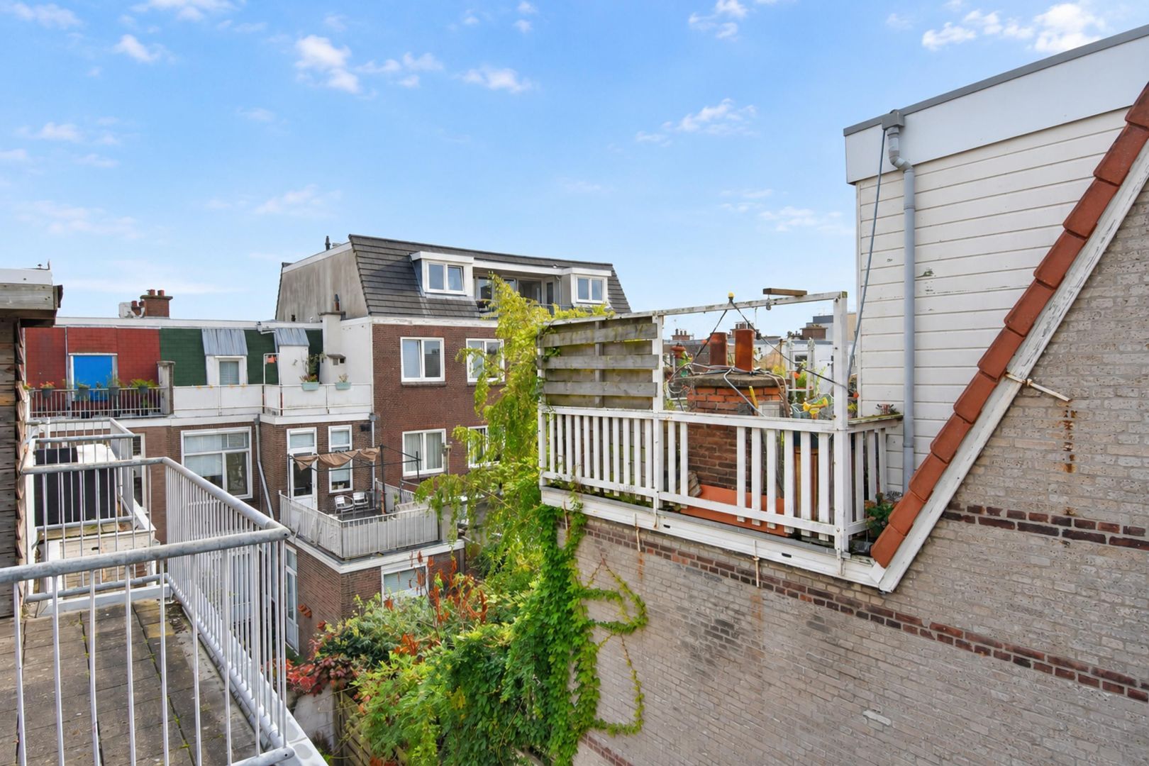 Frederik Ruyschstraat 14 A, Den Haag foto-25 blur