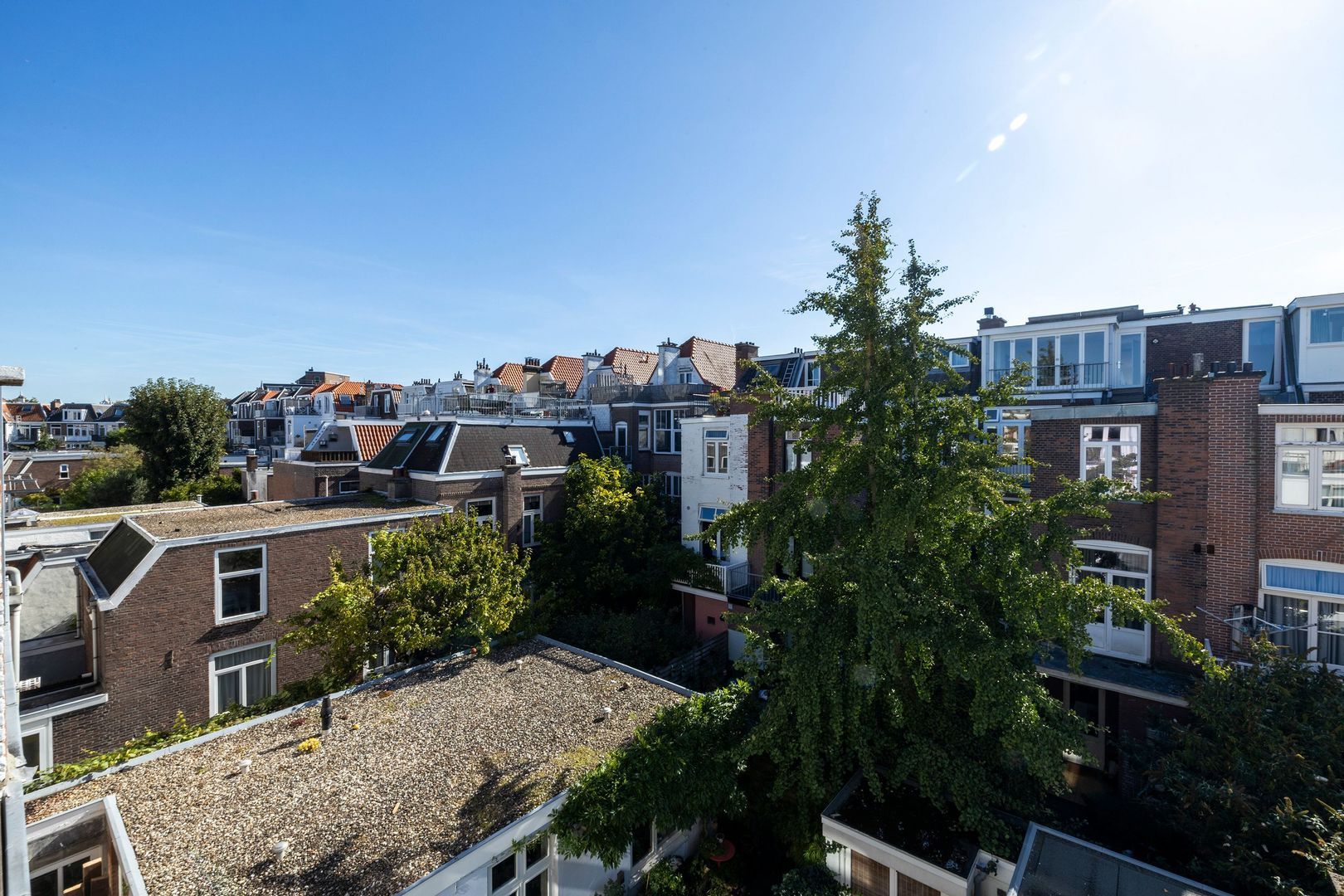 Daguerrestraat 110, Den Haag foto-44 blur