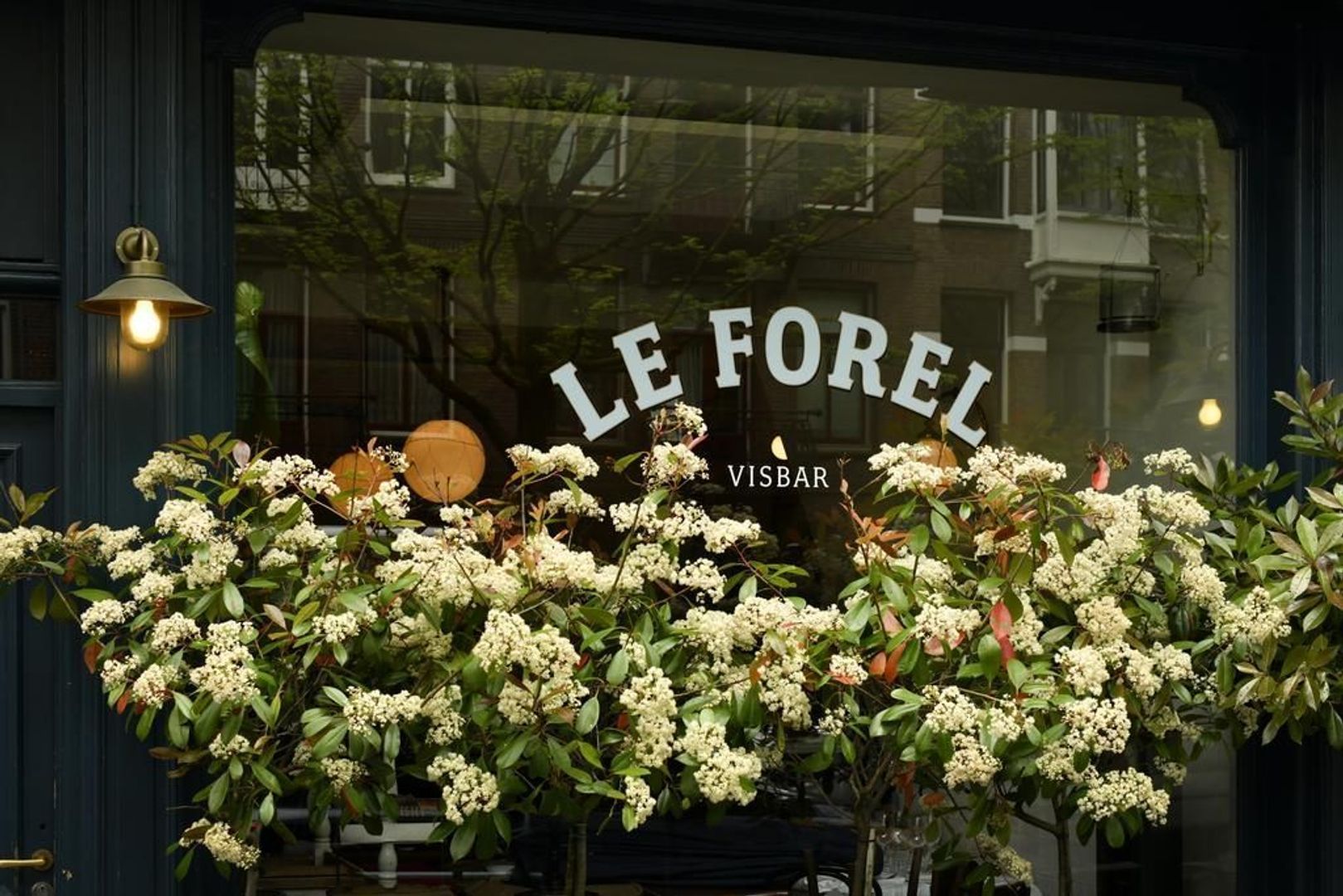 Tweede Helmersstraat 2 huis, Amsterdam foto-34