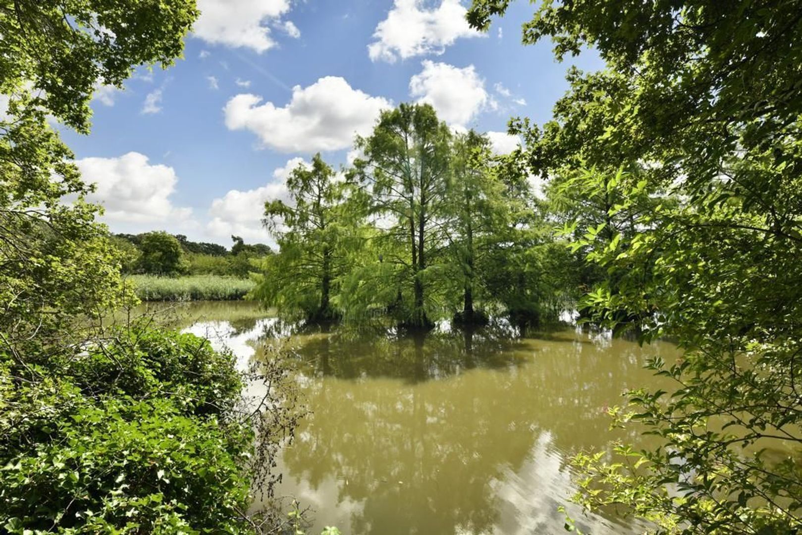 Zacharias Jansestraat 37 2, Amsterdam foto-22