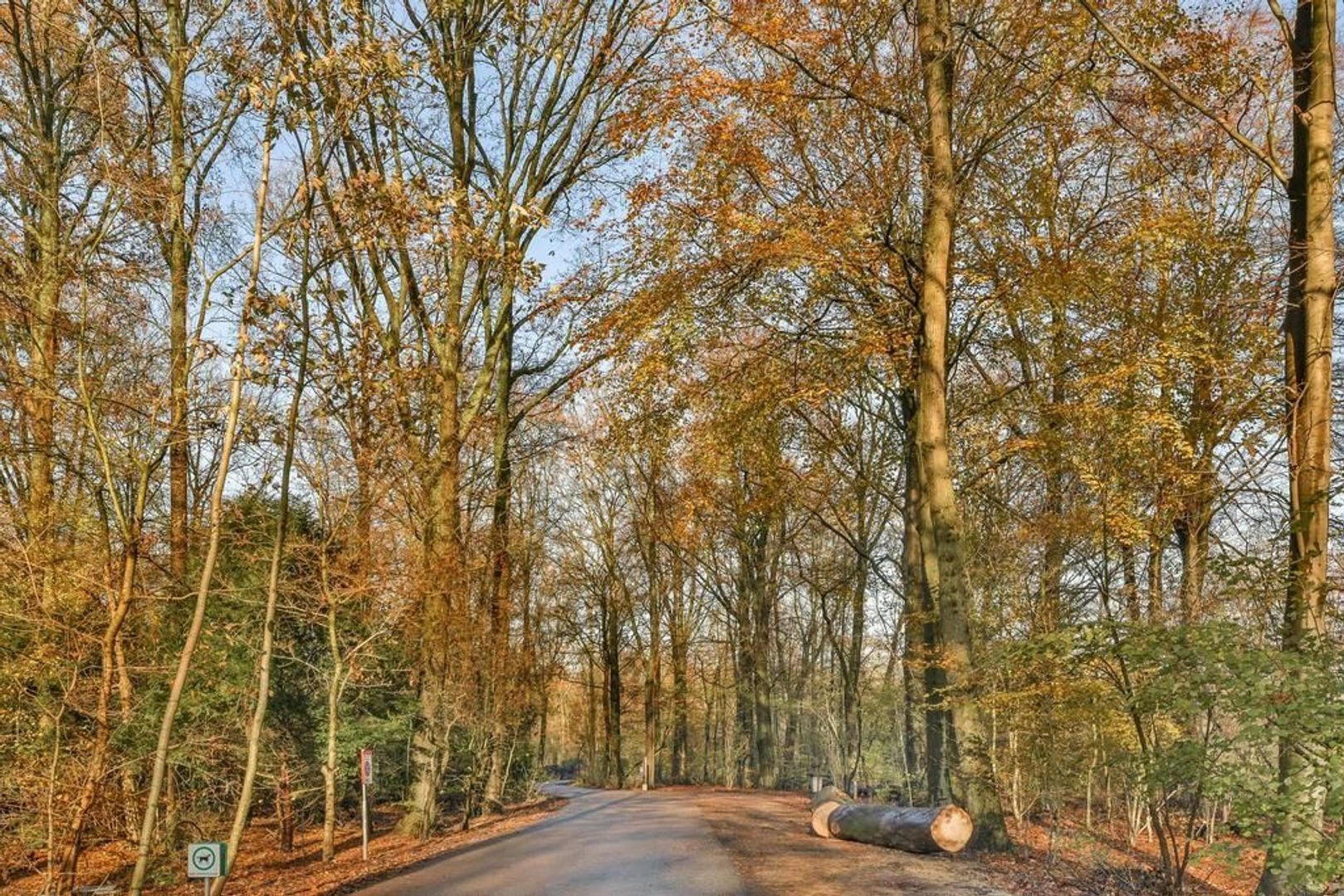 Amstelveenseweg 1094, Amsterdam foto-50
