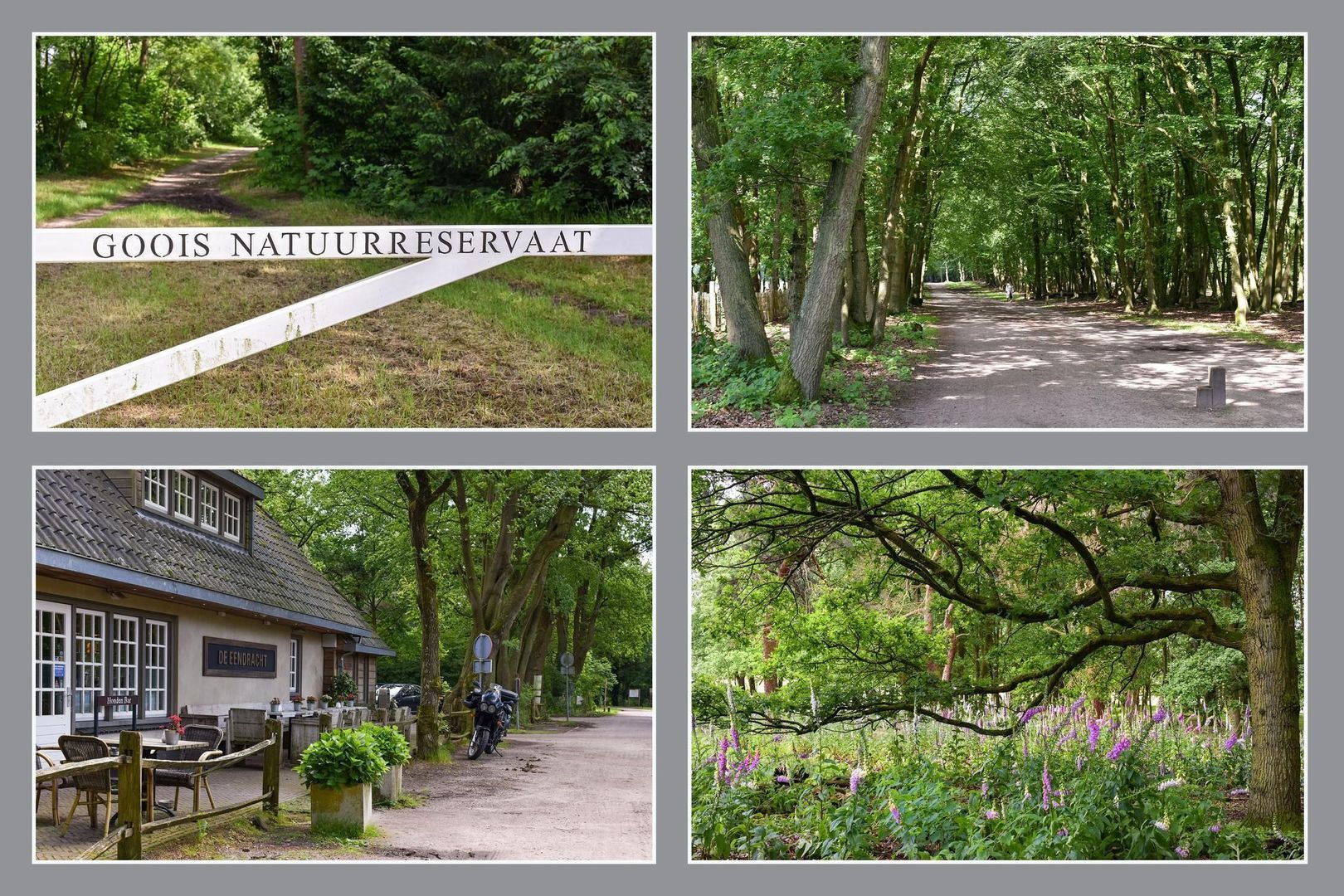 Scheimel 0 ong, Blaricum foto-18